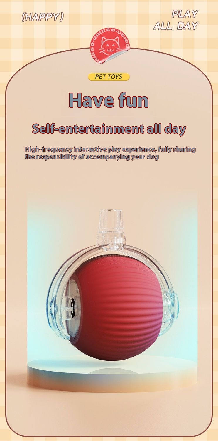 Smart Toy Features 5