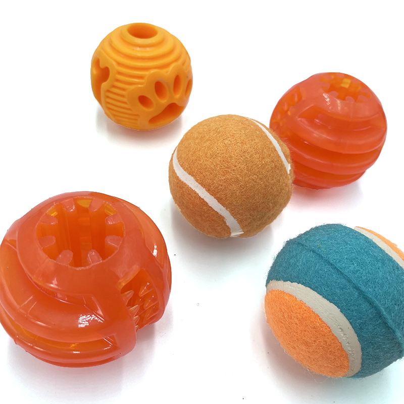 Cat and Dog Toys Display