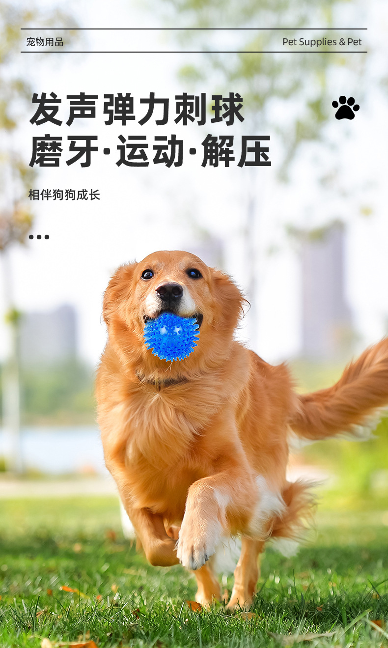 Dog Toy Image