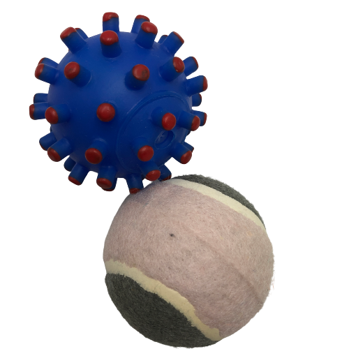 Toy Specimen 4