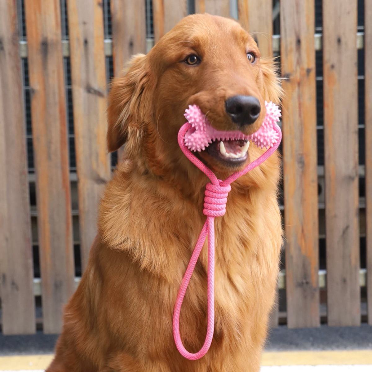 Interactive High Quality Durable Pet Bone Shaped Rubber Chew Dog Toy to Relieve Teeth Grinding Boredom