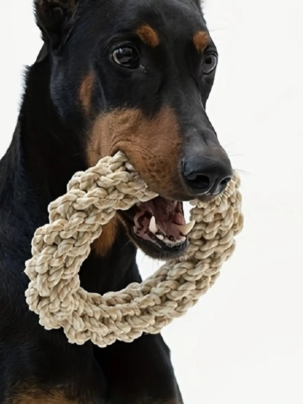 Wholesale Durable Interactive Chew Bite Resistant Circular Ring Shape Dog Rope Toy