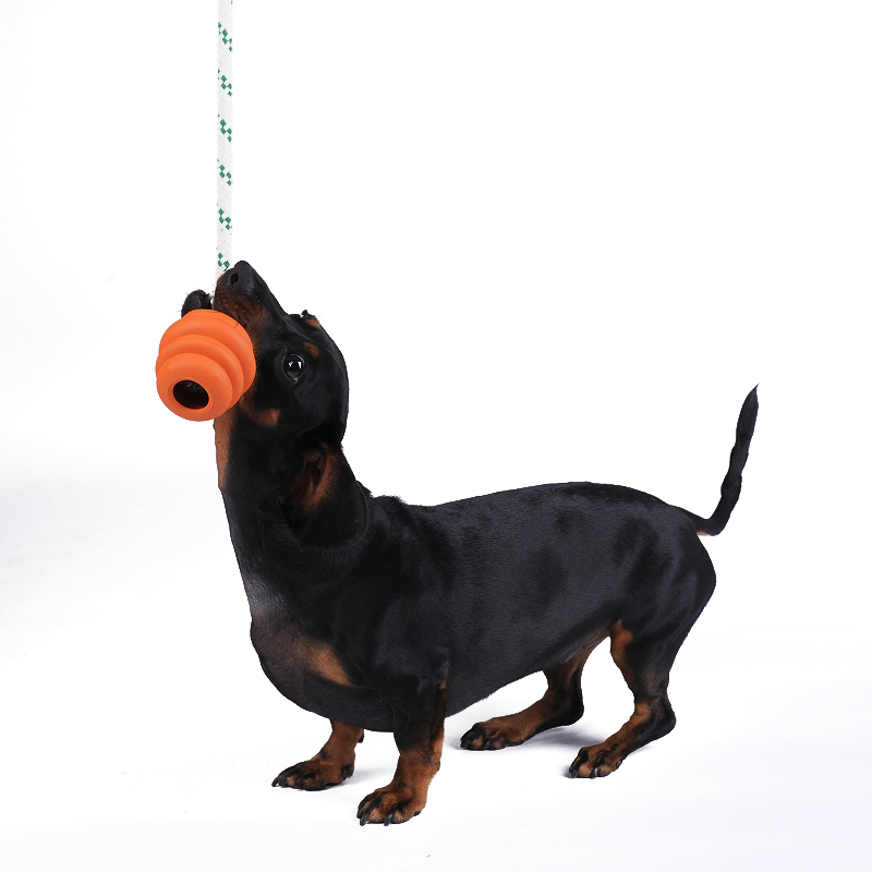 Rope Tough Dog Chew Ball Toy Rubber Material Bite-Resistant Pet Training Interactive Dog Rope Ball
