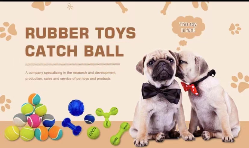 Pet Toy Banner