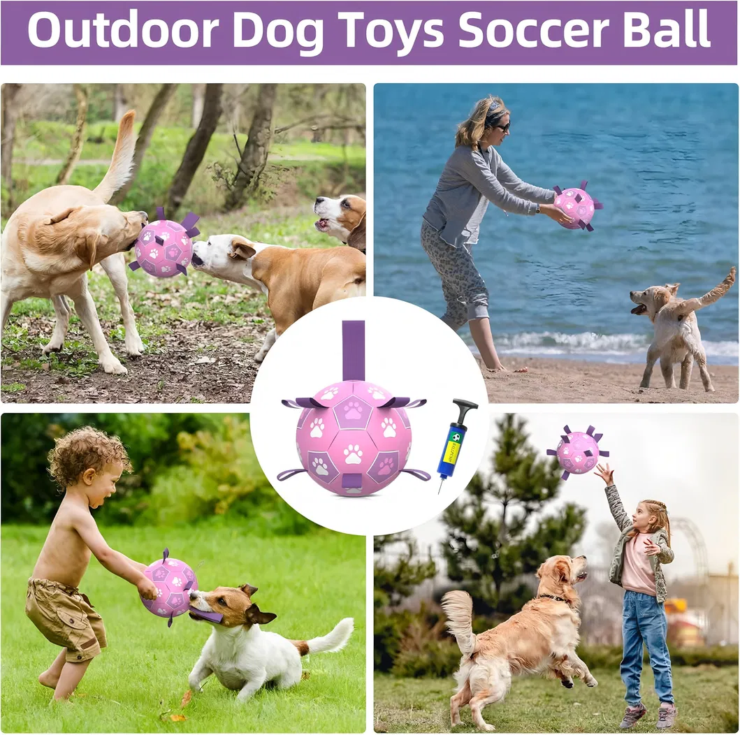 Herding Ball for Dogs
