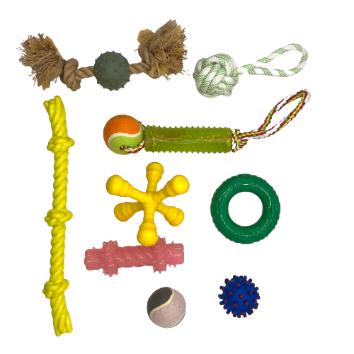 Toy Specimen 1