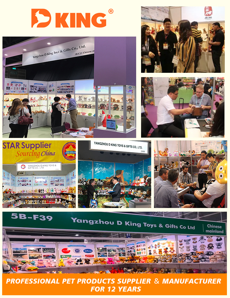 Exhibition Meet and Greet