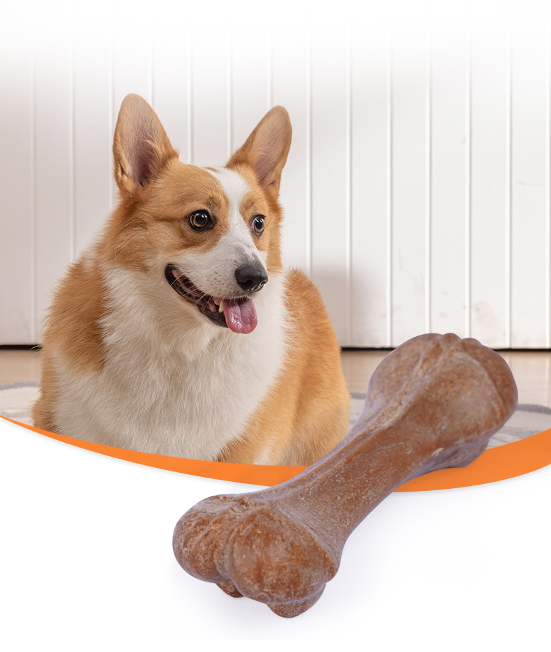 Custom Dog Toy 1
