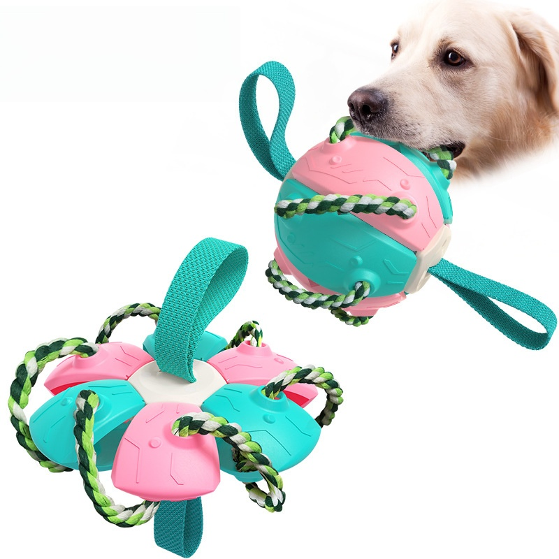 Pet Supplies Outdoor Frisbee Interactive Soccer Training Dog Toys