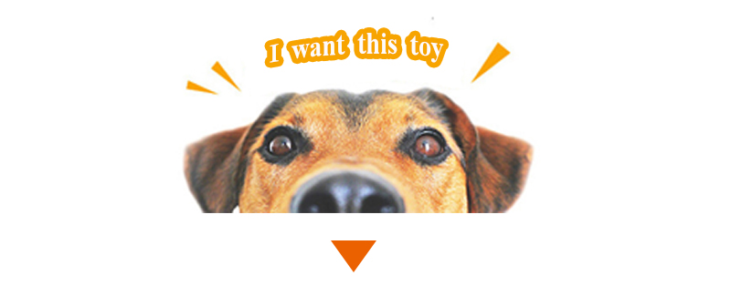 Eco Friendly Pet Toys
