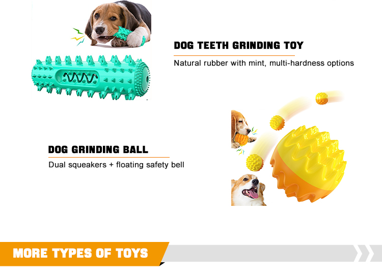 Pet Product Showcase 3