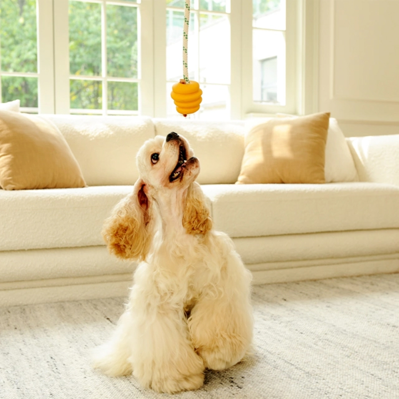 Rope Tough Dog Chew Ball Toy Rubber Material Bite-Resistant Pet Training Interactive Dog Rope Ball