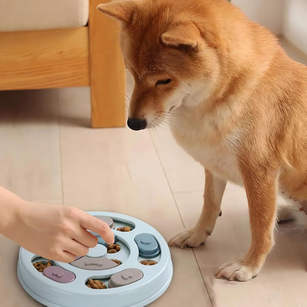Pet Training Games Feeder Feature Image 6