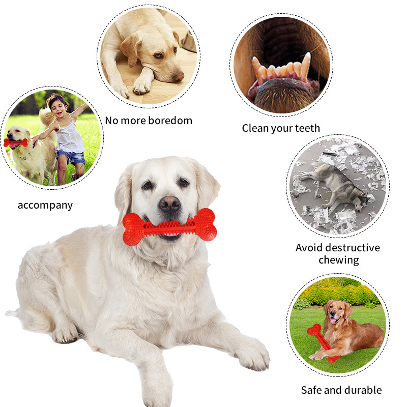 Nunbell Model 8-2 Indestructible Funny Multi-color New Design Rubber TPR Patent Small Dog Bone Shape Chew Toys Indoor Use