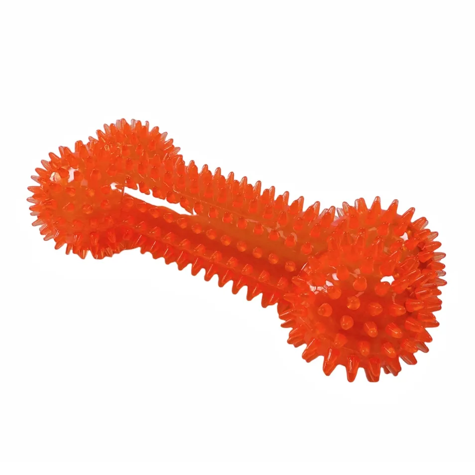 Thorned Bone Dog Chew Toy for Puppy Dental Health