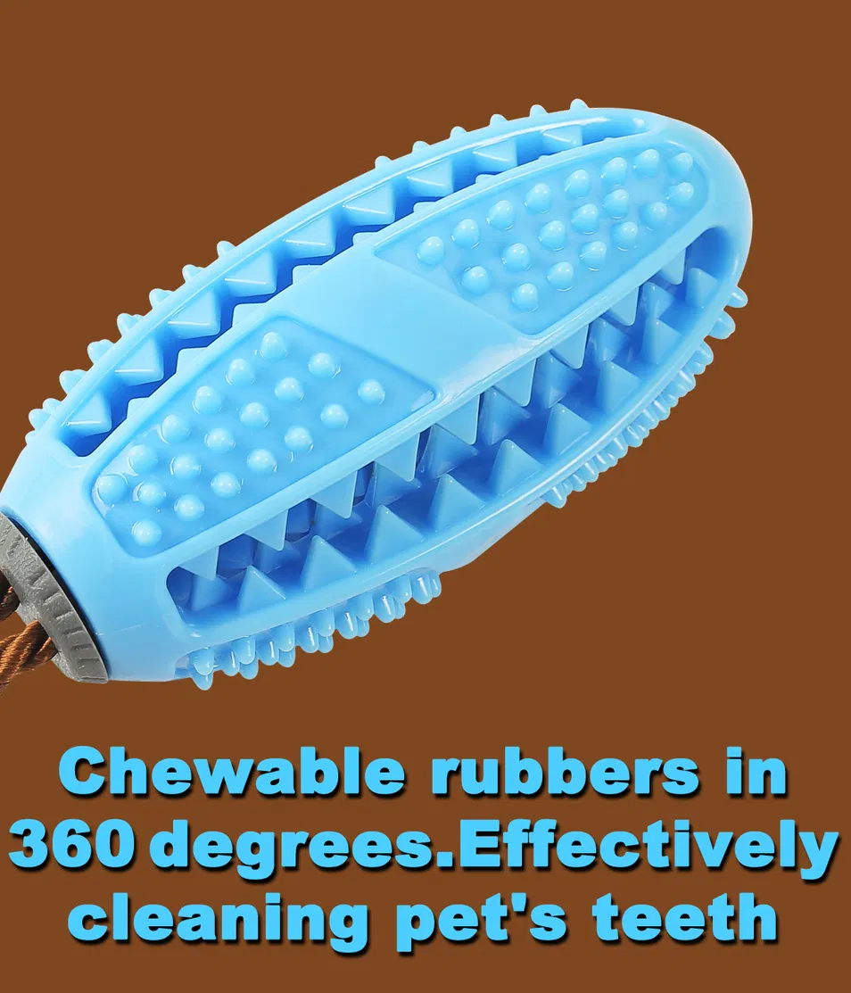 Innovative Design Molar Teeth Cleaning