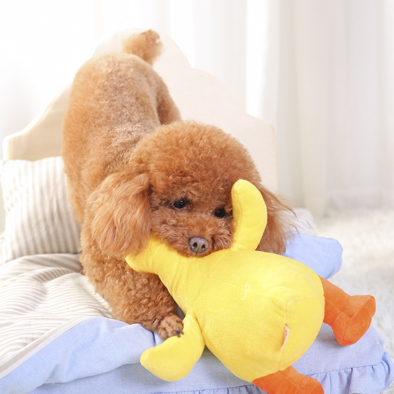 Hot Selling Cute Dog Toy Stuffed Duck Squeaky Chew Toy for Puppy
