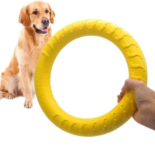 Eco-Friendly Modern Outdoor Training Floating EVA Dog Flying Disc Interactive Pet Toy