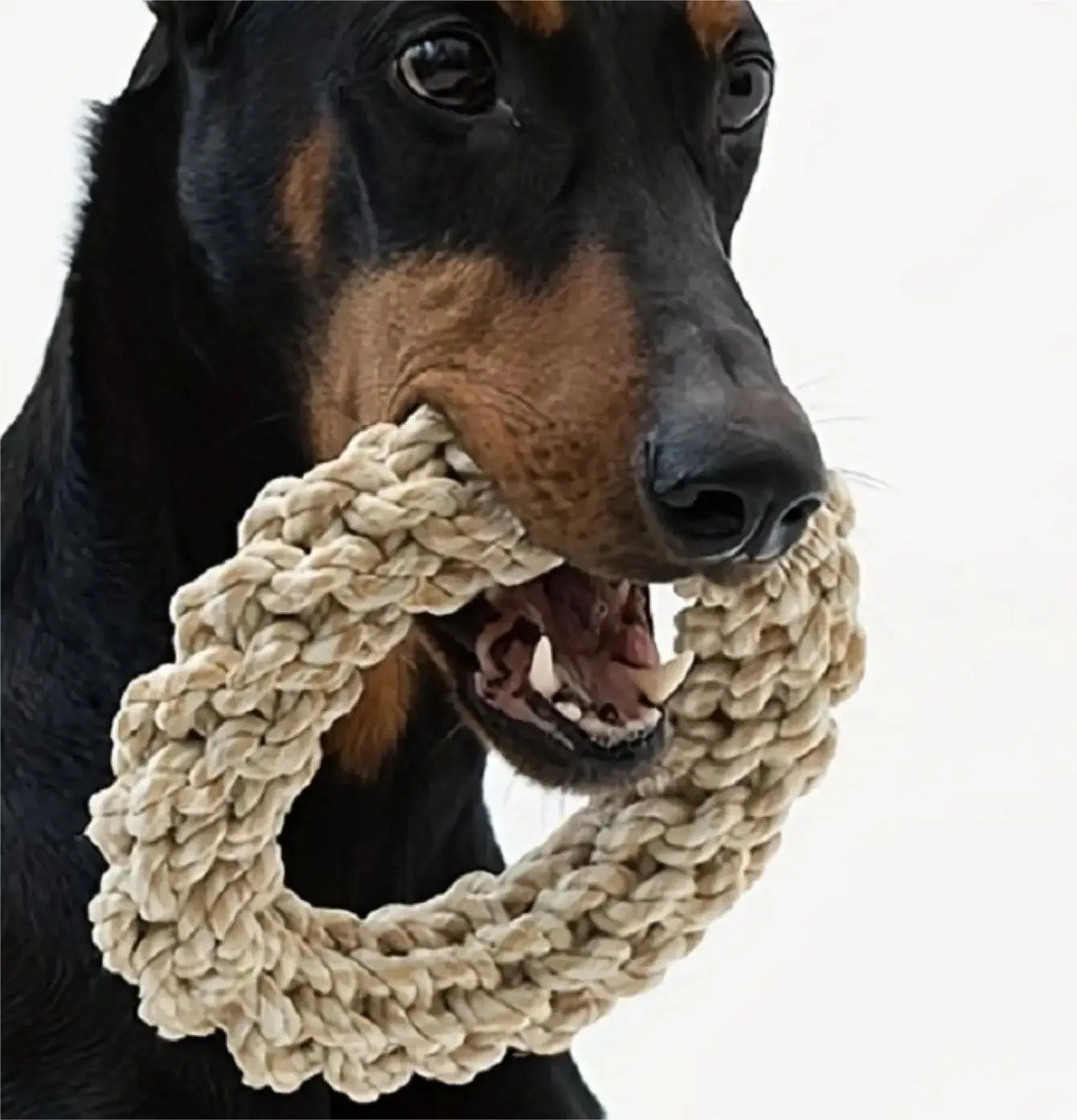 Wholesale Durable Interactive Chew Bite Resistant Circular Ring Shape Dog Rope Toys