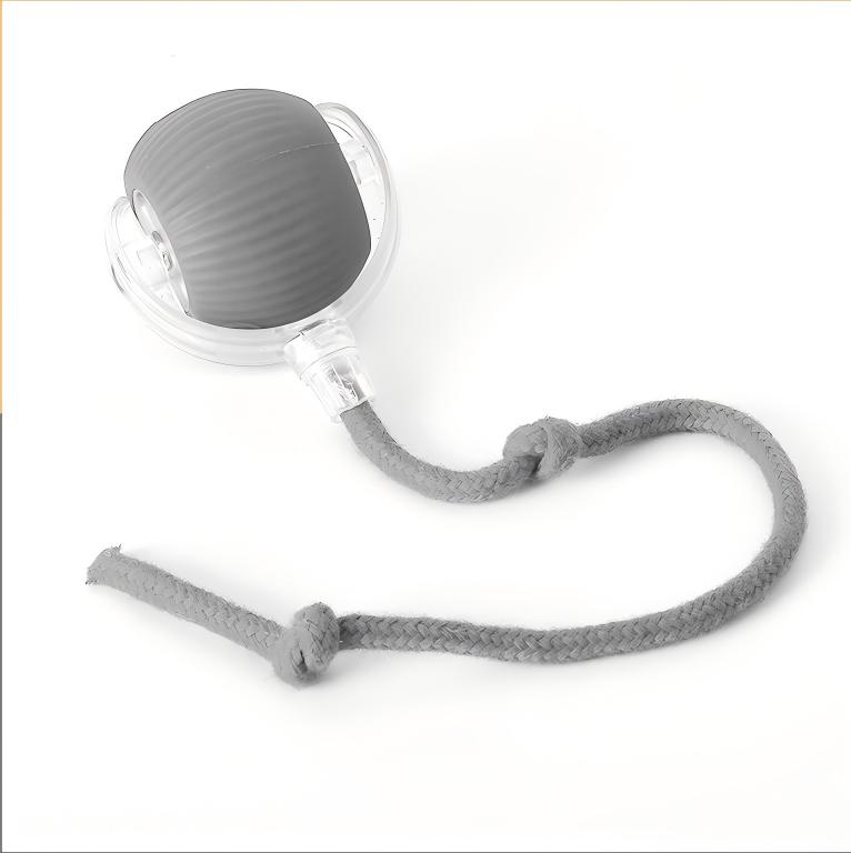 Smart Pet Toy Ball