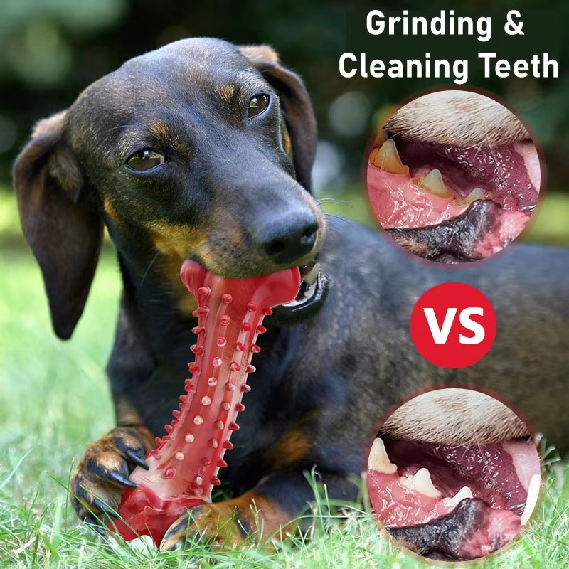 Durable Dog Soft Chew Toy for Indoor and Outdoor Teeth Cleaning