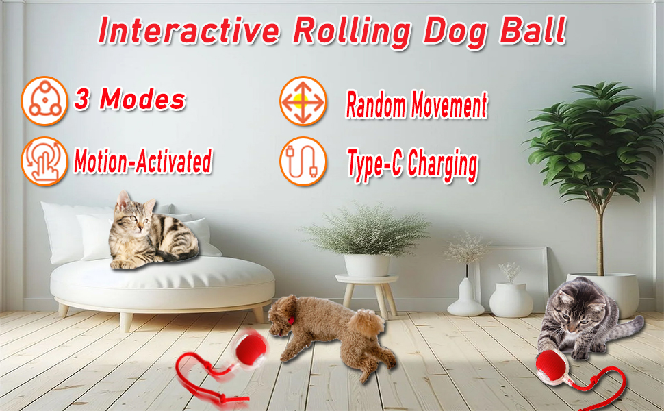 Pet Toy Detail Display