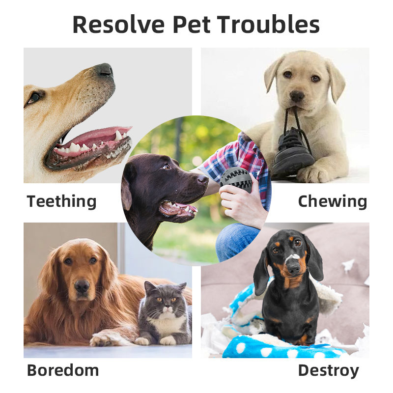 Rubber Pelota Para Perros Chew Toys Ball Pet Supplies Dog Food Treat Feeder Dispenser and Tooth Cleaning Juguetes Para Perros