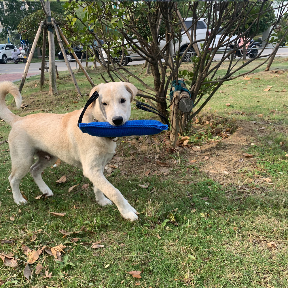 Interactive Toys for Medium to Large Dogs Jute Bite Toy Best for Tug of War Dog Bite Sleeves Strong and Sturdy Dog Tug Toy