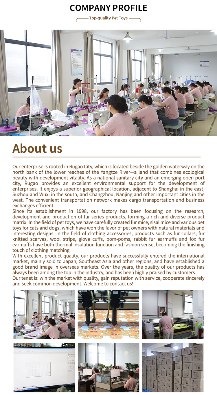 Company Profile Details