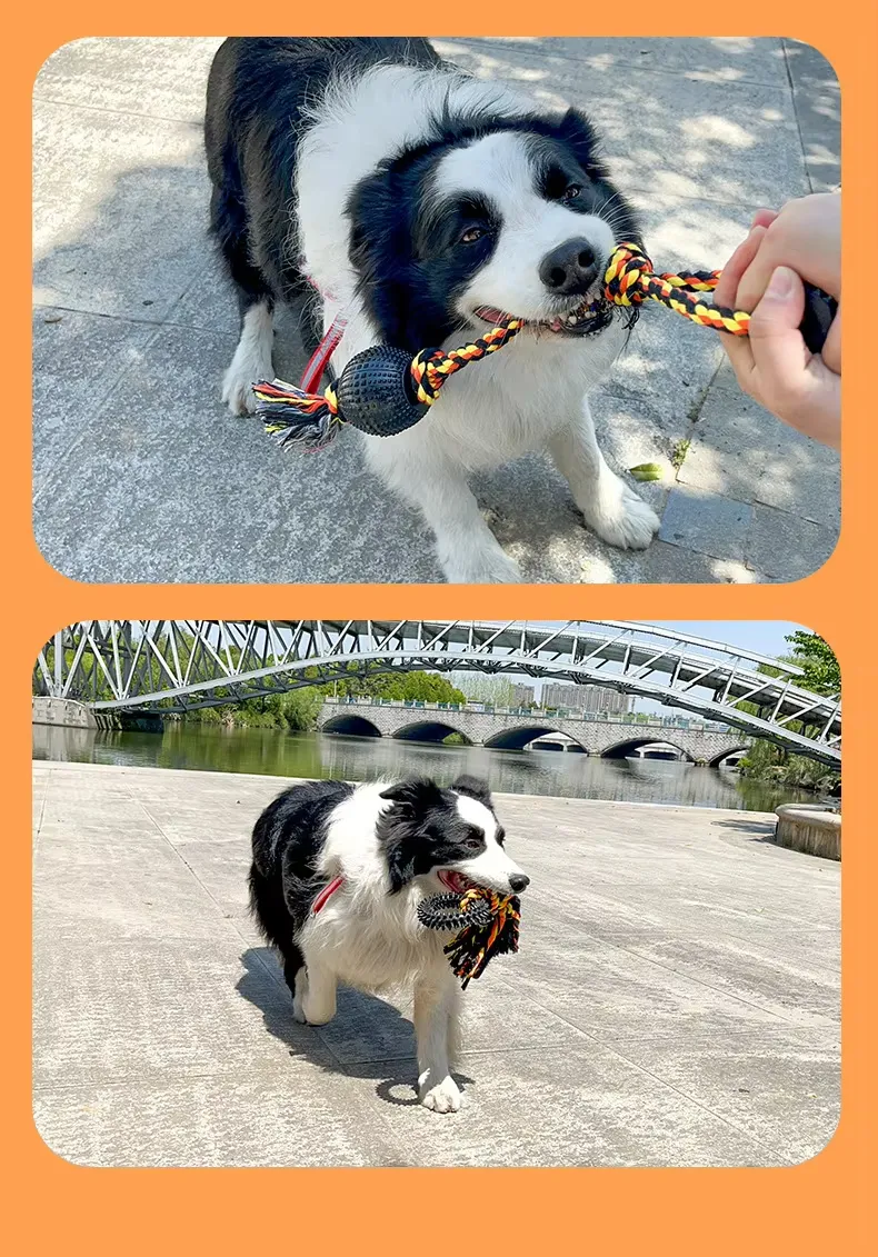 Halloween Puppy Toys with Squeaky Sound Chew Rope for Aggressive Dogs Bite
