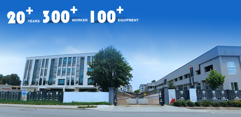 Company Profile View