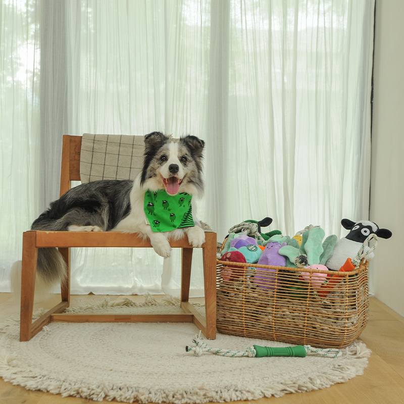Manufacturer Wholesale Stuffing Free Pumpkin Dog Rope Interact Tug Toy Plush Toy for Dog