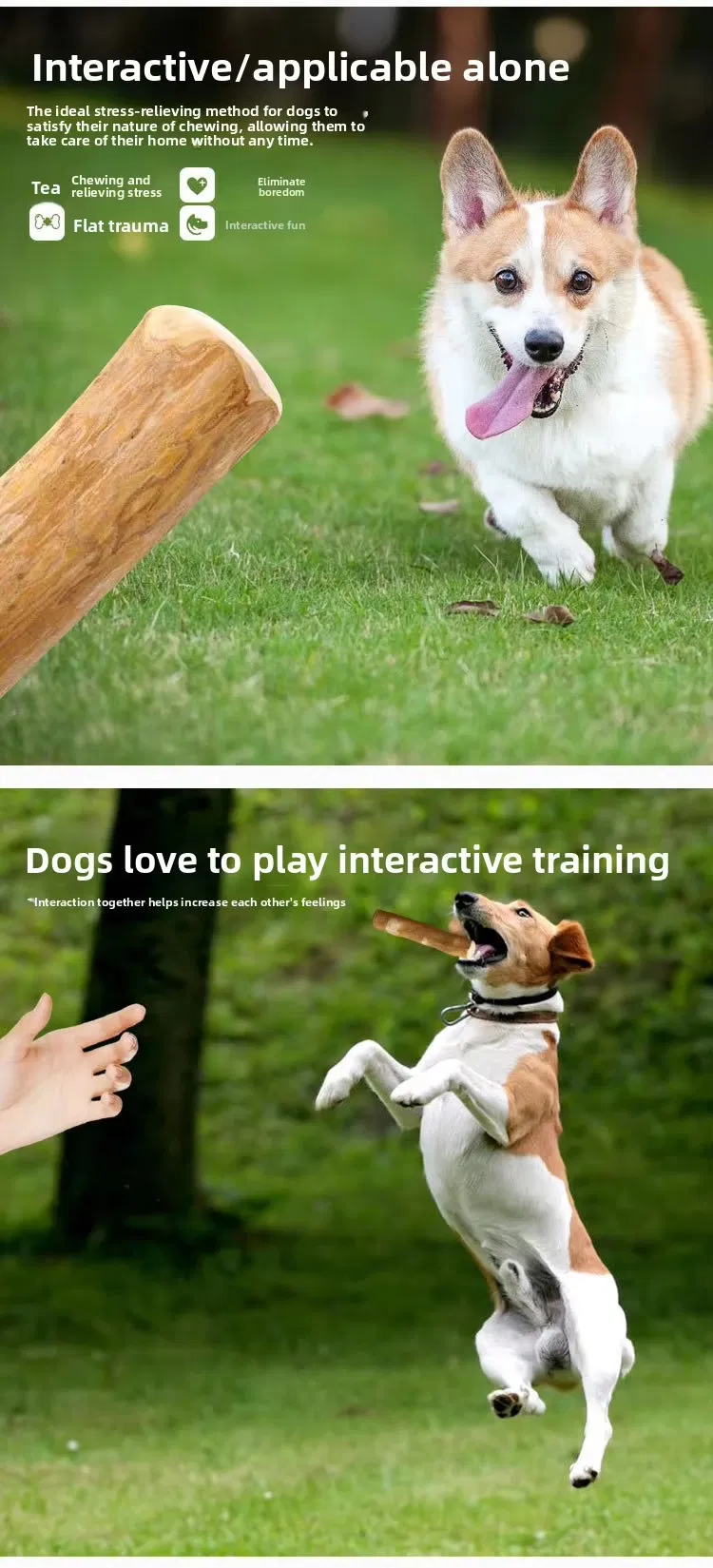 Dog Chew Toy 100% Coffee Wood Eco-Friendly Dental Chew for Dogs Durable Interactive Teeth Cleaning Exercise Toy