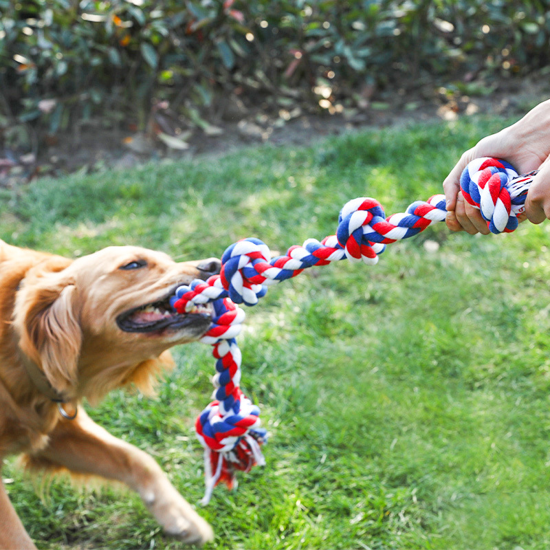 Hot Selling Eco-Friendly Cotton Dog Rope Toys 5 Knots Tug War Indestructible Aggressive Chewers Luxury Medium Large Dogs Modern