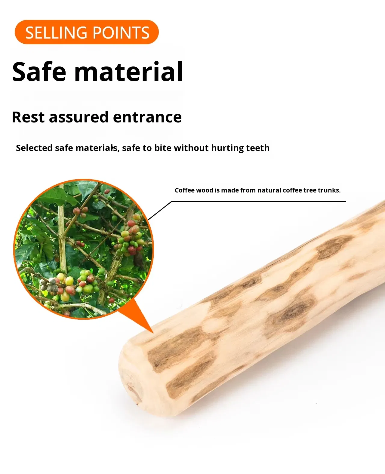 Dog Chew Toy 100% Coffee Wood Eco-Friendly Dental Chew for Dogs Durable Interactive Teeth Cleaning Exercise Toy