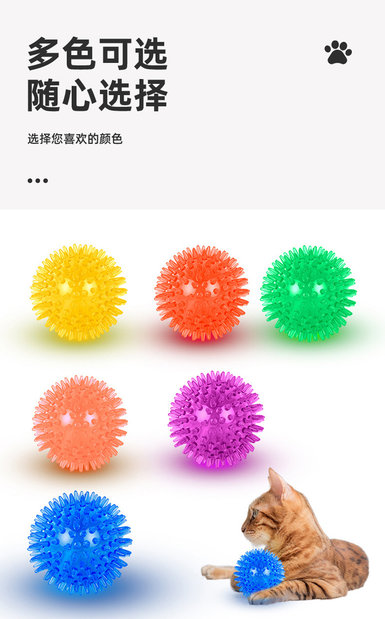 Dog Toy Image
