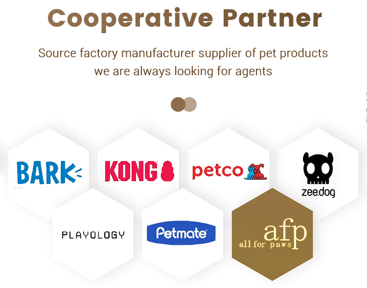 Cooperative Partner 1