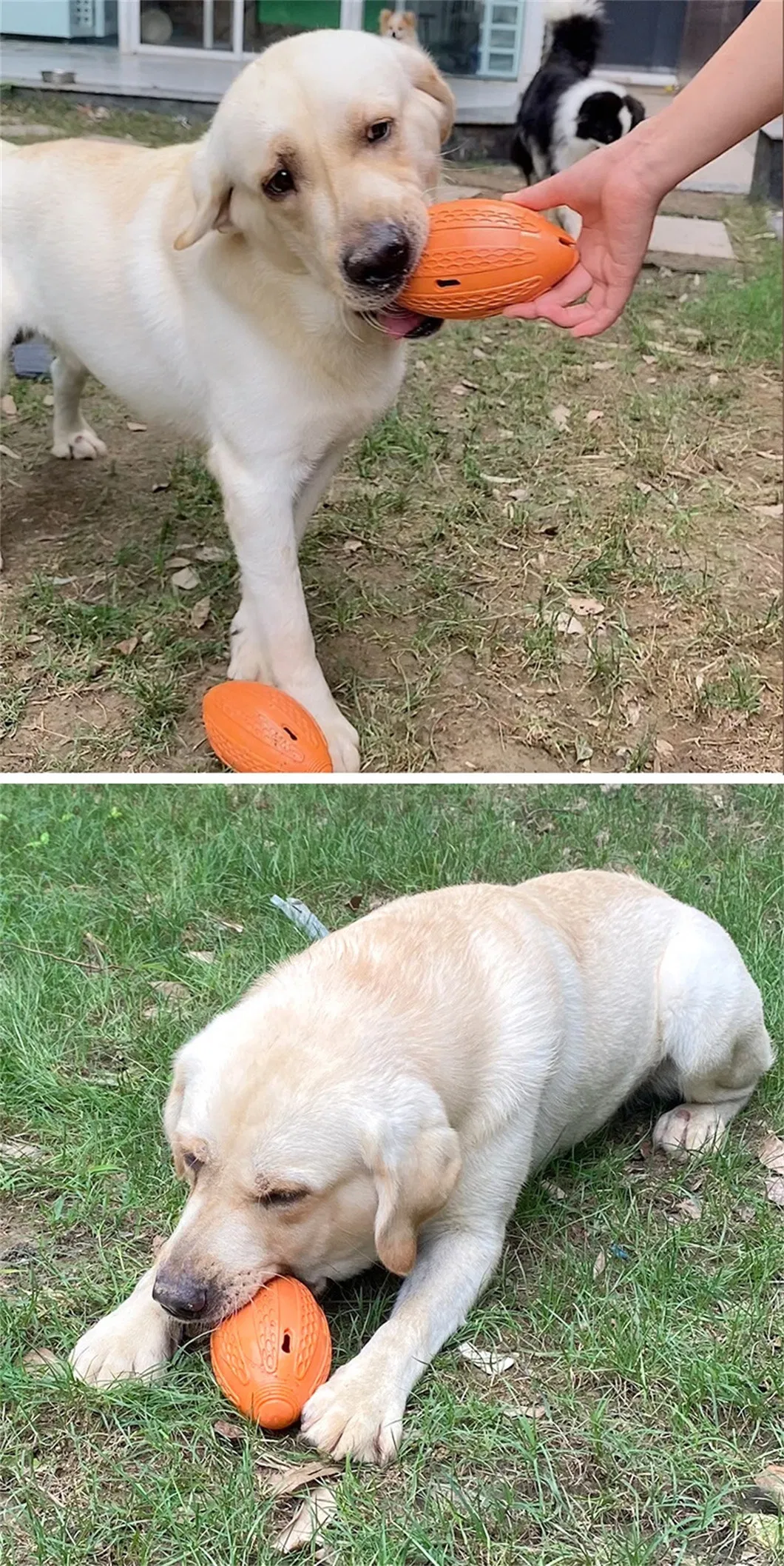 Durable Bite-Resistant Rubber Playing Puppy Chew Ball Safety Funny Football Dog Toy