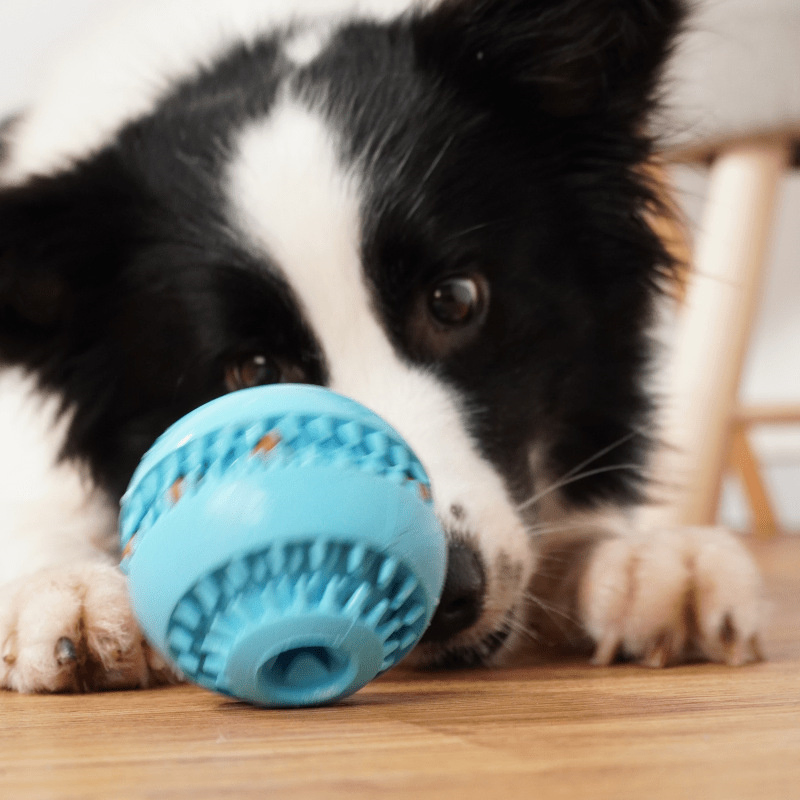 Amazon Hot Sale Customized Puzzle Squeaky Food Pet Toy Ball Teeth Clean Dog Toys Eco Friendly Dog Chew Toy