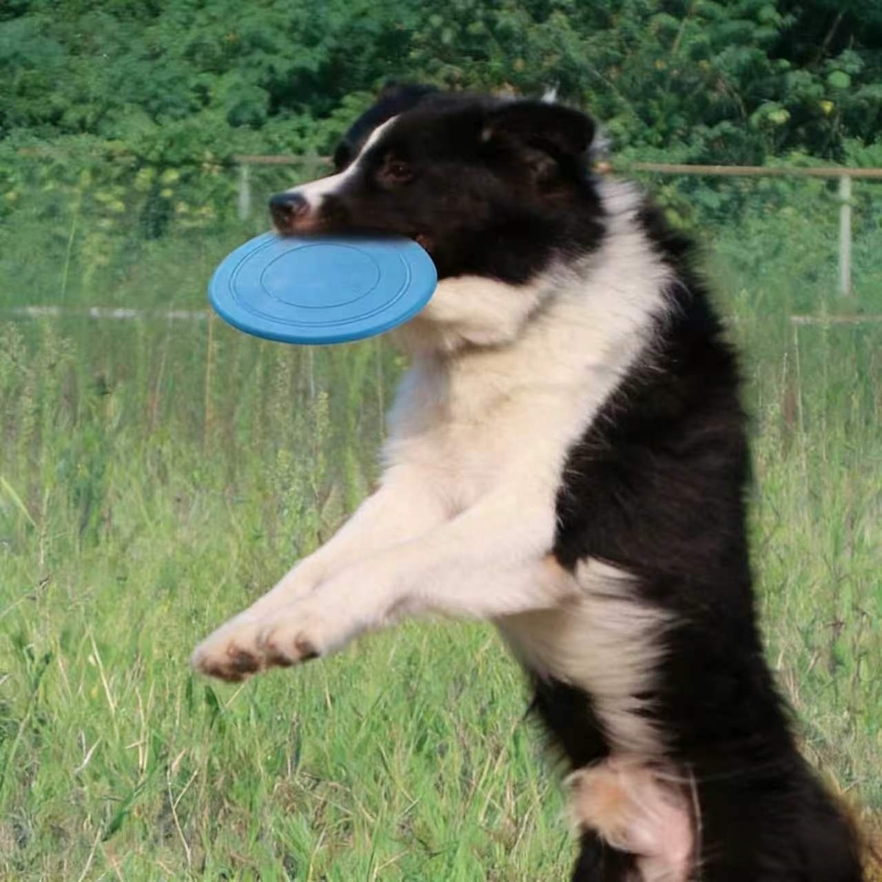 High Elastic Chew Resistant Silicone Rubber Flying Disc Dog Fetch Training Toy Waterproof Wear Resistant Pet Supply Rubber Toys