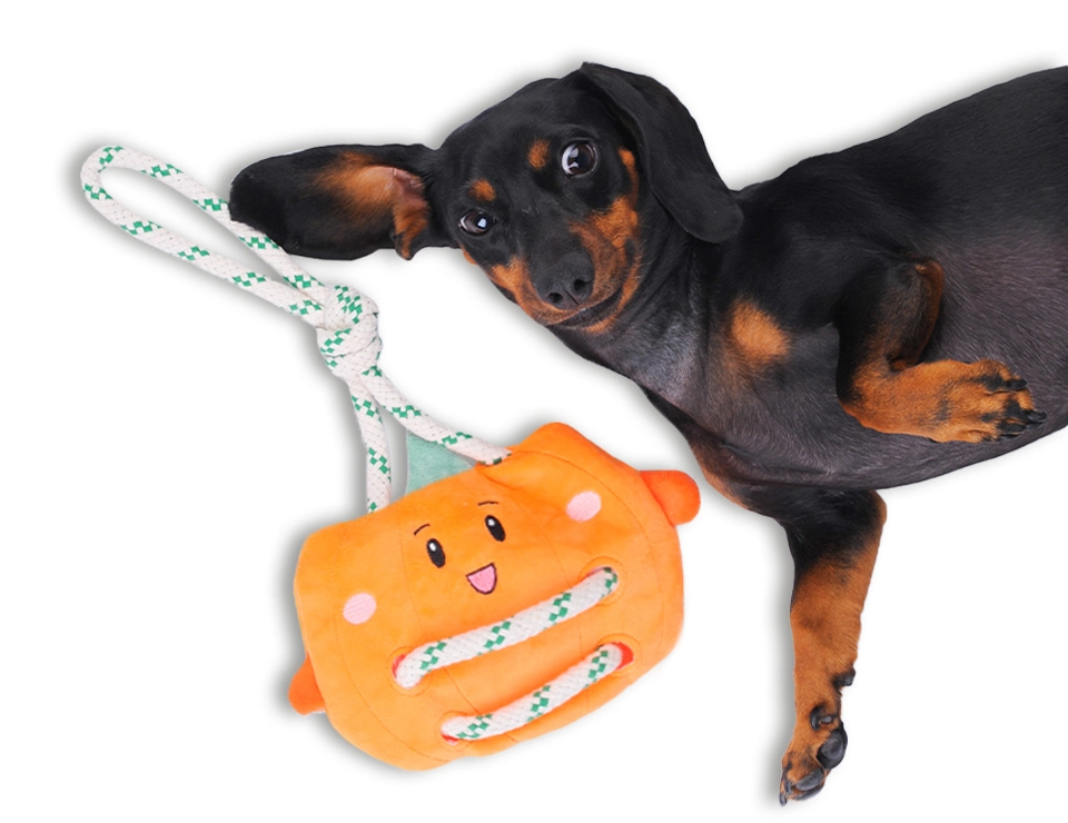 Pet products display 4