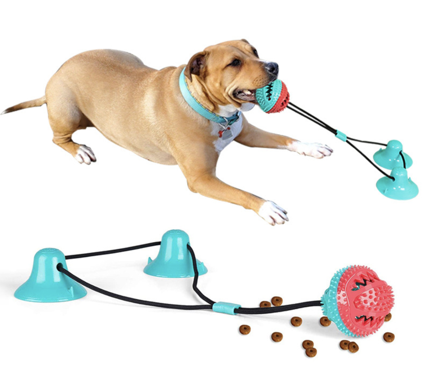 Dog toy details 3