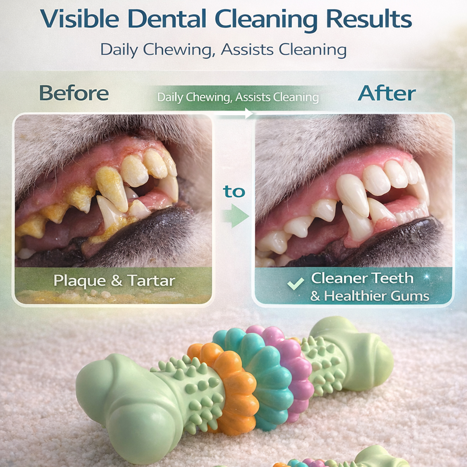 TPR Bone Shape Teeth Cleaning Gum Massage TPR Dog Bone Chew Toy