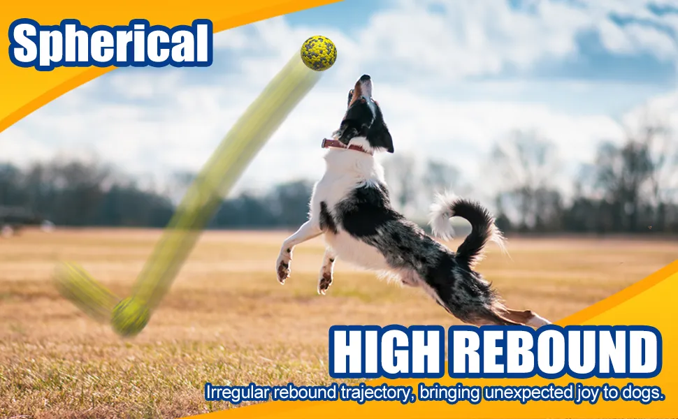 Brightly Colored Floating Rubber Dog Toy for Fun Outdoor Play