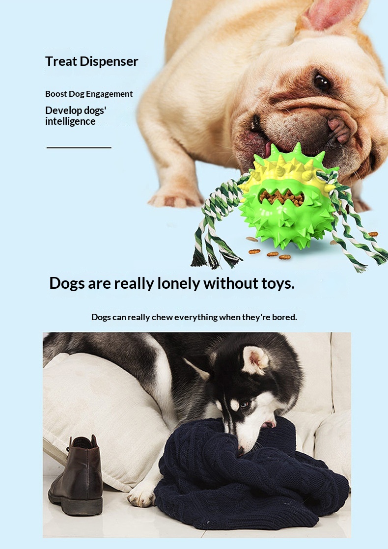 Dog Toy Showcase 8