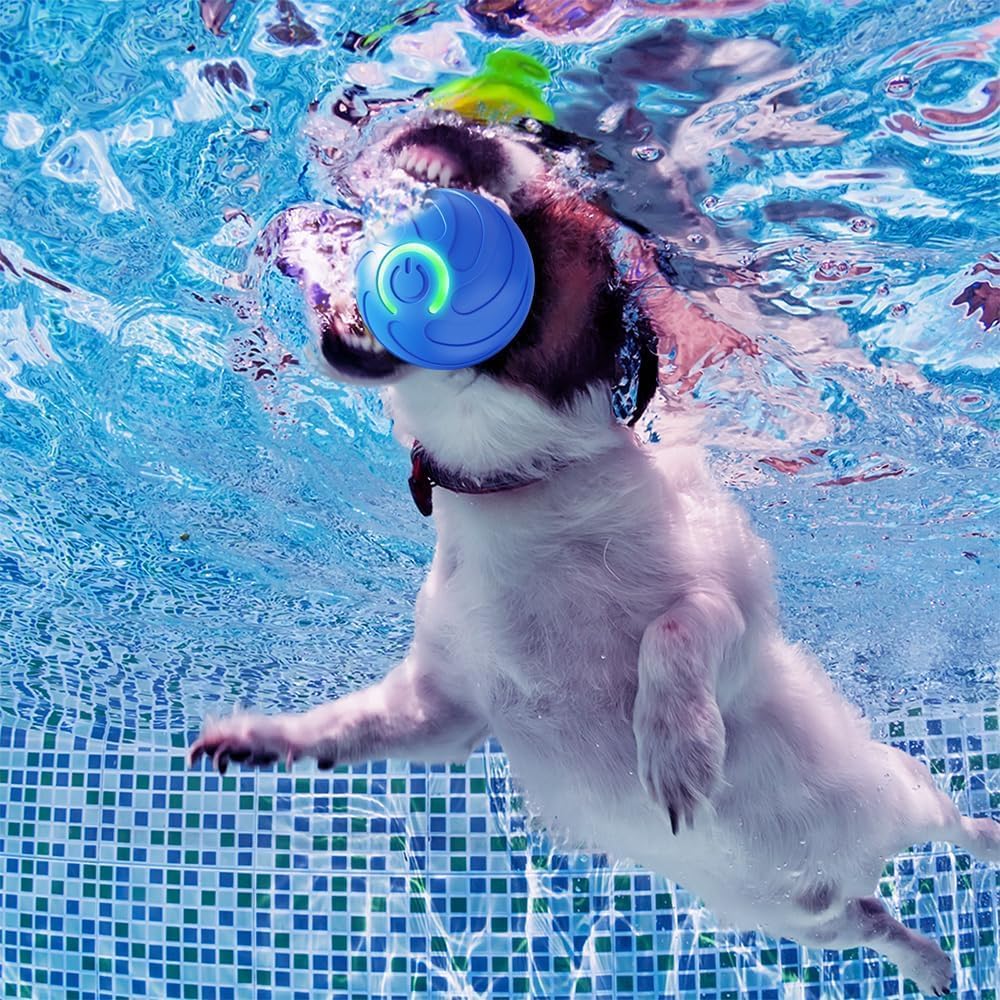 Orange Blue Indoor Rubber Luxury Pet Dog Interactive Movement Chew Ball Toys New Arrivals