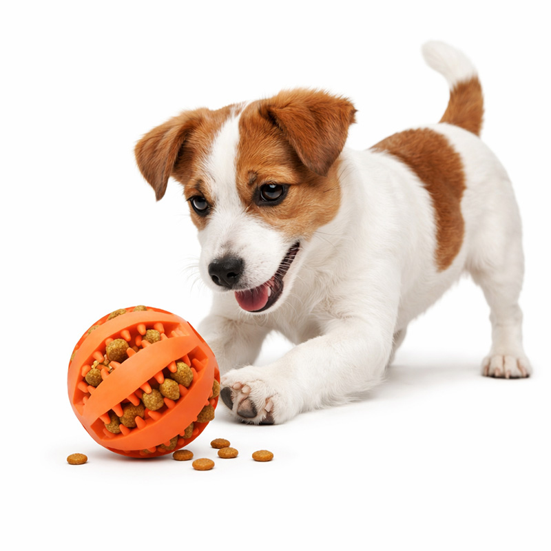 Custom Colors Interactive Slow Feeder Puzzle Toy for Dogs TPR Durable Rubber Food Dispenser Chew and Training Enrichment Toy
