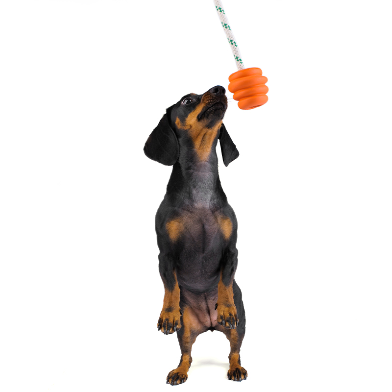 Rope Tough Dog Chew Ball Toy Rubber Material Bite-Resistant Pet Training Interactive Dog Rope Ball