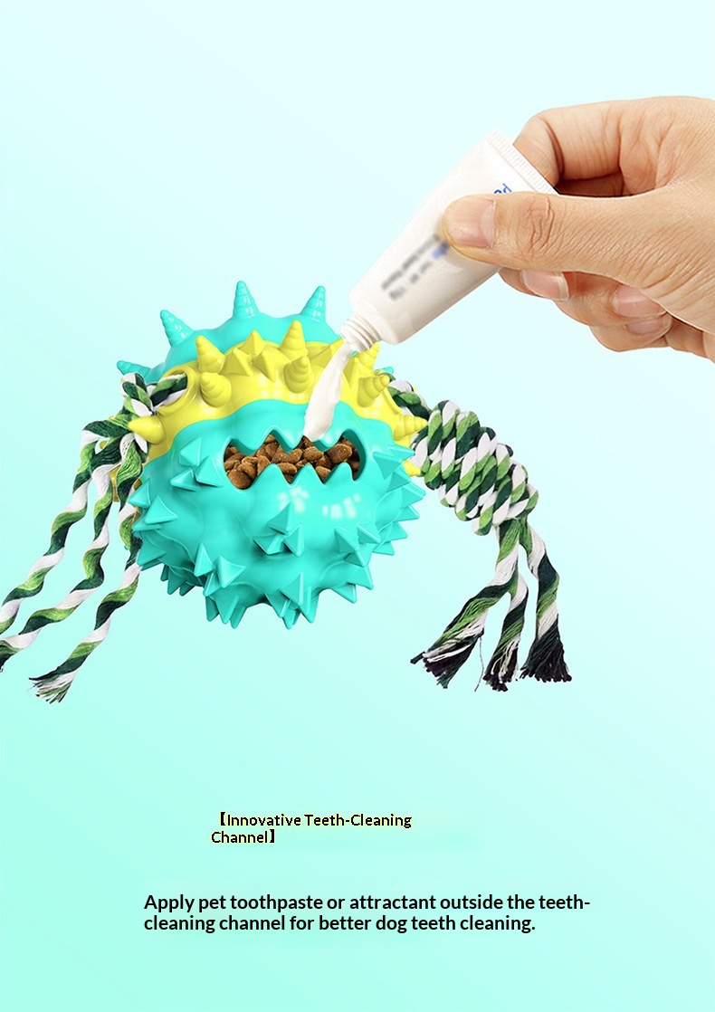 Dog Toy Showcase 9