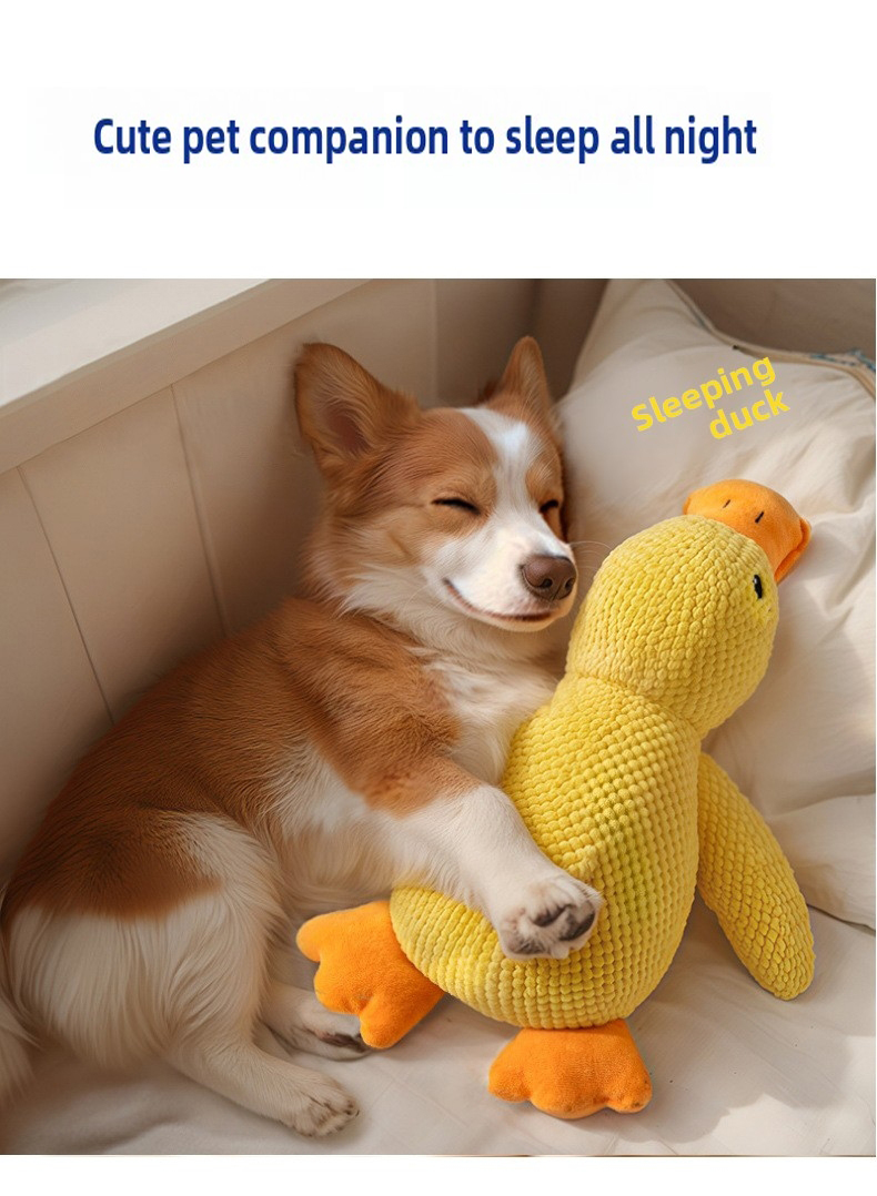Pet Product View 1